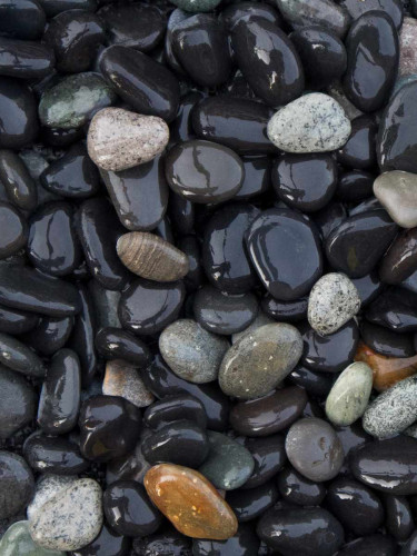 Beach pebbles zwart 8 - 16mm (nat)