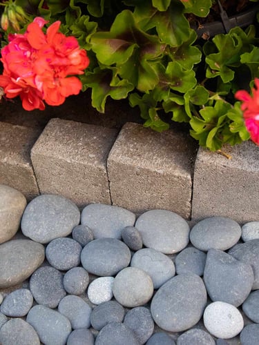 Beach Pebbles Large 30 - 60mm (3 - 6cm) aangelegd