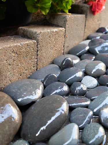 Beach Pebbles Large 30 - 60mm (3 - 6cm) aangelegd (nat)