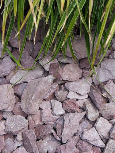 canadian slate paars 30 - 60mm aangelegd