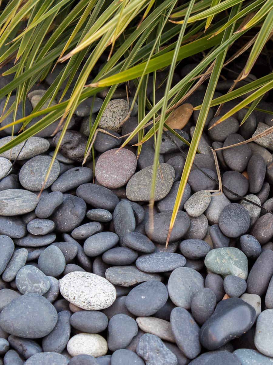 Beach pebbles zwart 16 - 25mm  aangelegd tuin
