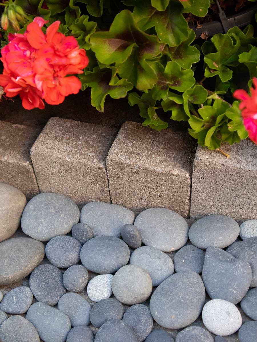 Beach Pebbles Large 30 - 60mm (3 - 6cm) aangelegd