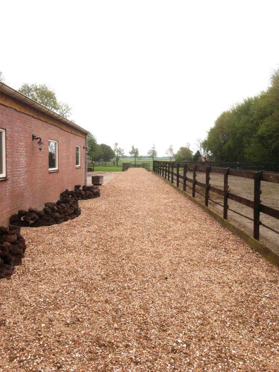 Gewassen schelpen (Standaardformaat)