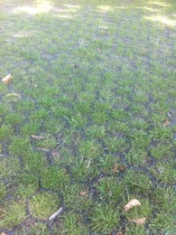 Grasdallen Easygravel 3XL groen per m2
