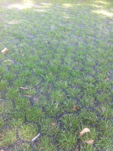 Easygravel 3XL grasdallen groen aangelegd