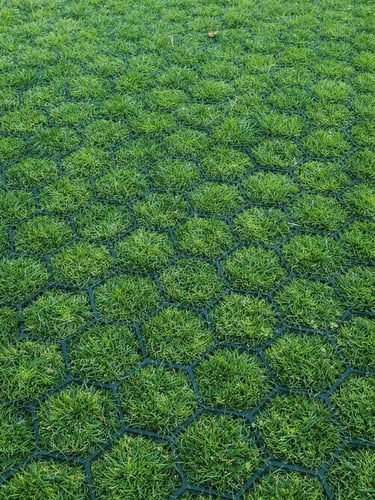 Easygravel 3XL grasdallen groen aangelegd