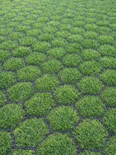 Easygravel 3XL grasdallen aangelegd