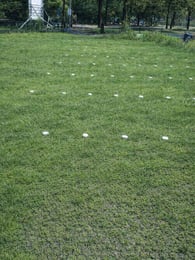 Markeerdoppen Easygravel (doos 26 stuks)