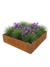 Multi-Edge ADVANCE Corten staal Borderbak 60x60x20cm aangelegd