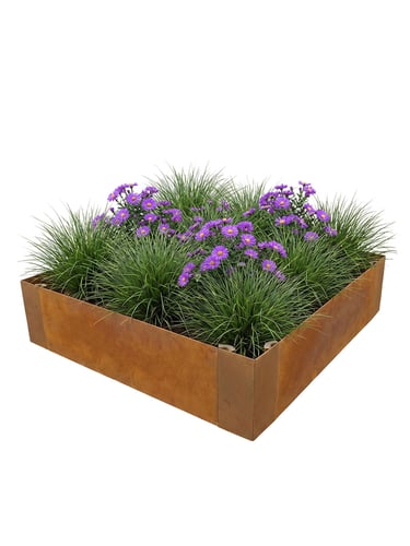 Multi-Edge ADVANCE Corten staal Borderbak 60x60x20cm aangelegd