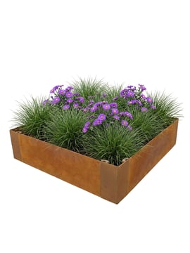 Multi-Edge ADVANCE Corten staal Borderbak 60x60x20cm aangelegd