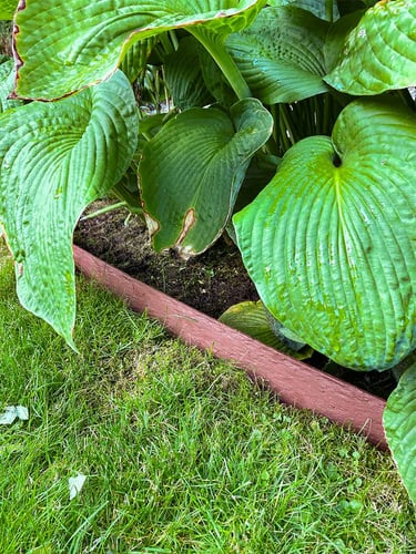 Multi-Edge ECO afboording recht bruin - corten aangelegd