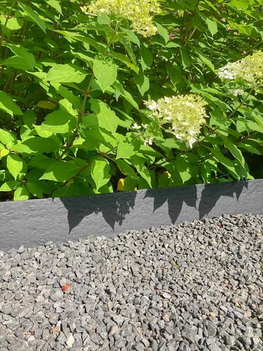 Multi-Edge ECO Recht 2m, grijs 14cm hoogte aangelegd