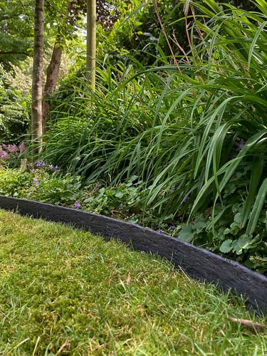 Multi-Edge ECO borderrol 10m lengte, 10cm hoogte, kleur zwart aangelegd
