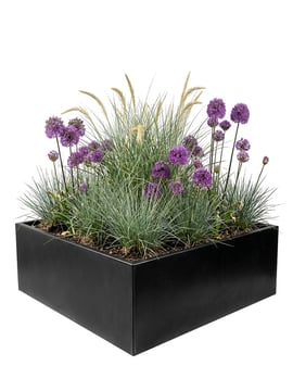 Multi-Edge FLORA Plantenbak Zwart