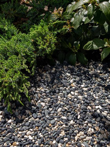 Natural Blend Pebbles 5 - 8mm aangelegd tuin