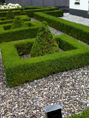 Rijngrind 16 - 32 tuin