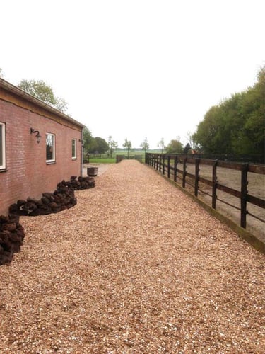 Gewassen schelpen (Standaardformaat)