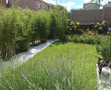 Diervriendelijke tuin 1 Diervriendelijke tuin 1