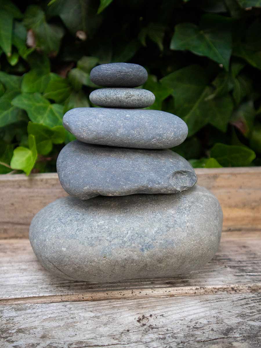 De zentuin inspiratie en aanleg informatie