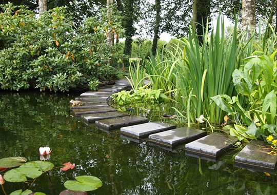 Vijver in zen-tuin